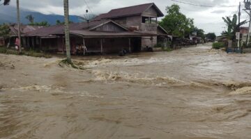 Puluhan Rumah Warga Agara Terendam Banjir Akibat Tanggul Jebol