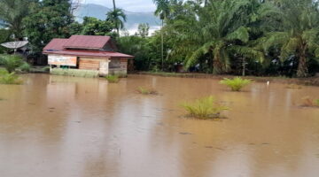 Area Persawahan Lawe Sagu Hulu Agara Dikepung Banjir juga Area SD Kandang Mblang